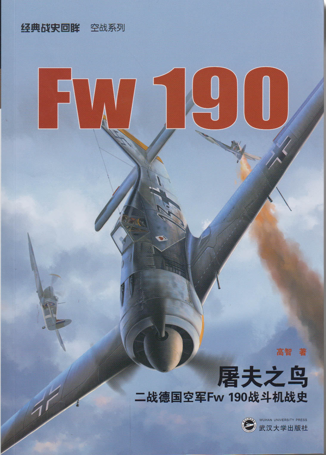 屠夫之鸟二战德国空军fw190战斗机战史